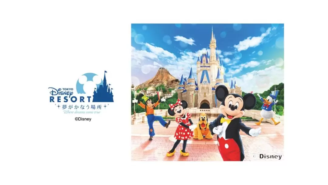Tokyo Disney Resort Park Ticket