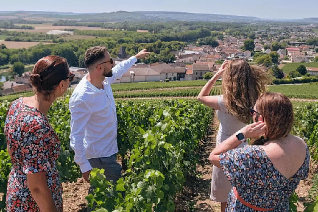  Morning Champagne Pommery and Family Grower Tour from Reims 