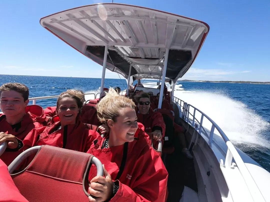 Rottnest Island Iconic Boat Tour from Perth or Fremantle