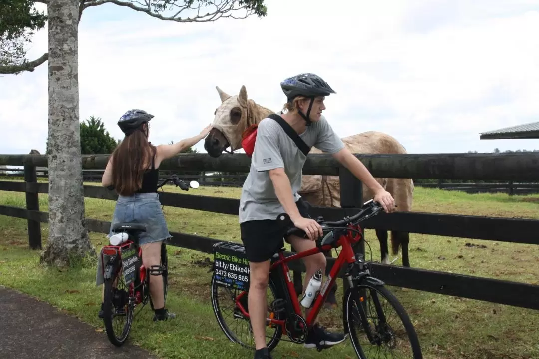 Pt Cartwright 3hr e-Bike Tour on the Sunshine Coast