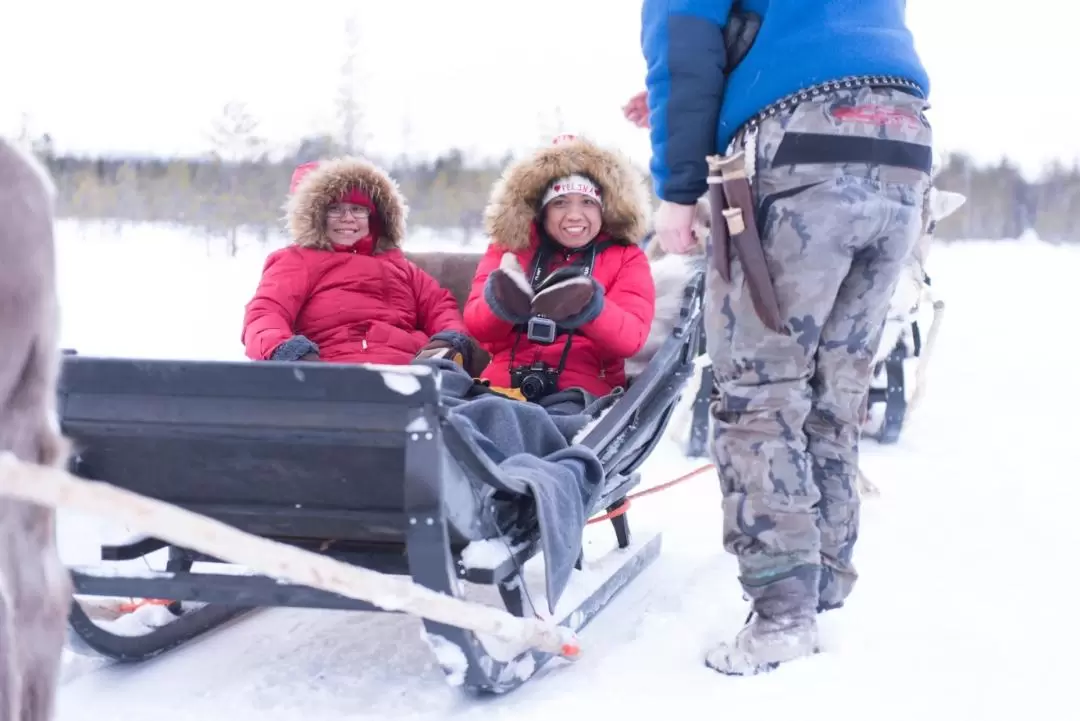 Reindeer Farm Experience in Rovaniemi