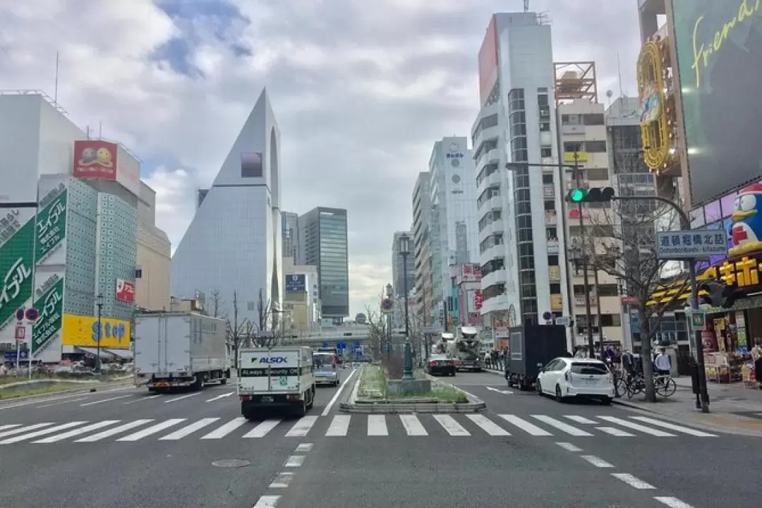 Half-Day Private Guided Tour in Osaka Minami Modern City