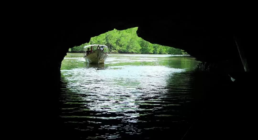 Tanjung Rhu Mangrove Tour with Lunch and Transfers in Langkawi