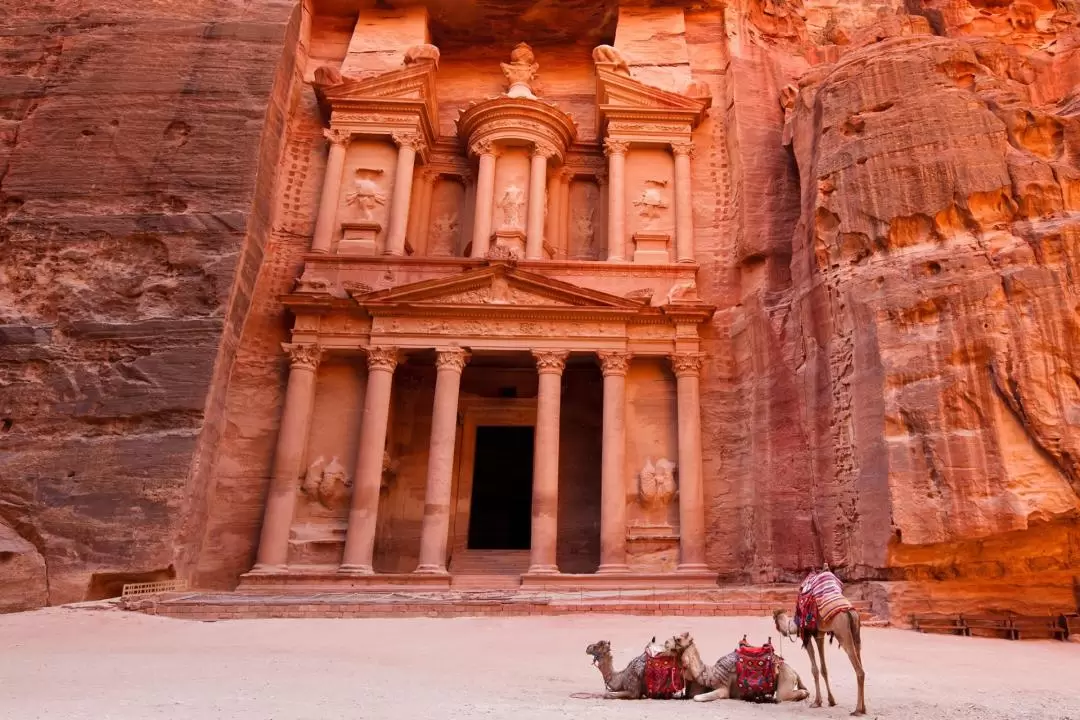 Petra and Wadi Rum Day Tour from Aqaba