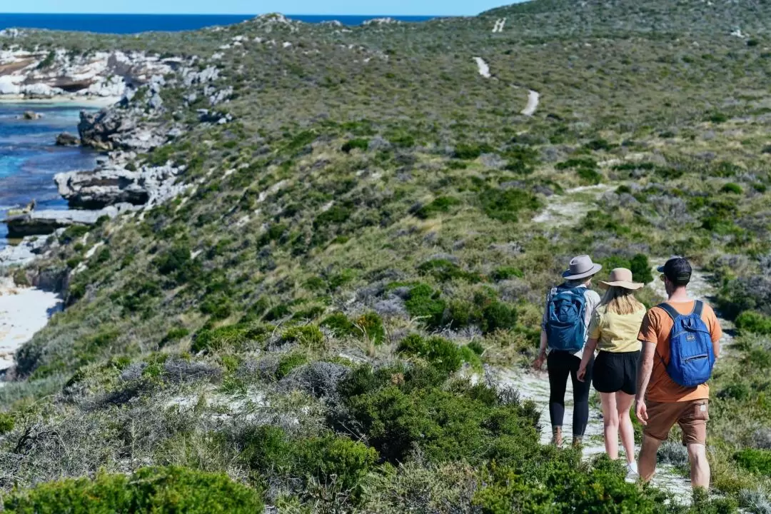 Wander The West End Guided Hike on Rottnest Island 