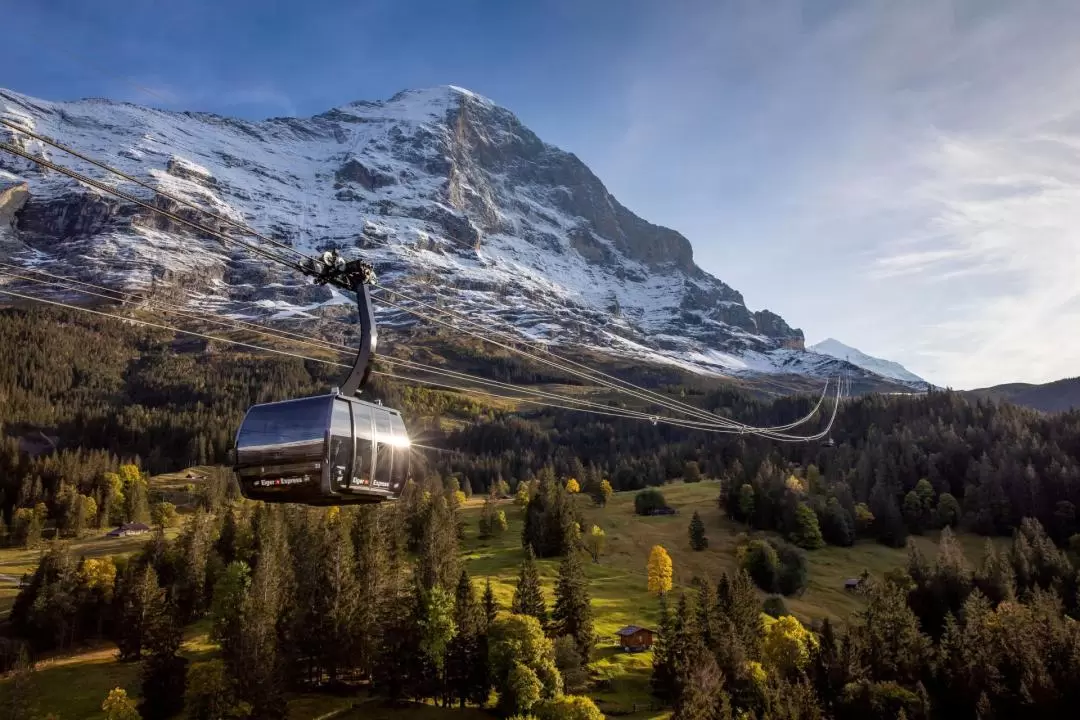 Eiger Express 3S Cable Car Ticket from Grindelwald Terminal to Eiger Glacier 