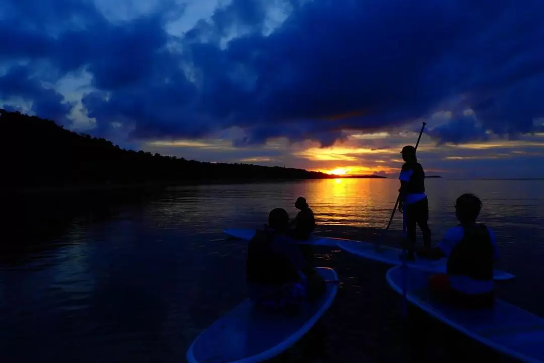 SUP or Canoe Experience in Iriomote Island