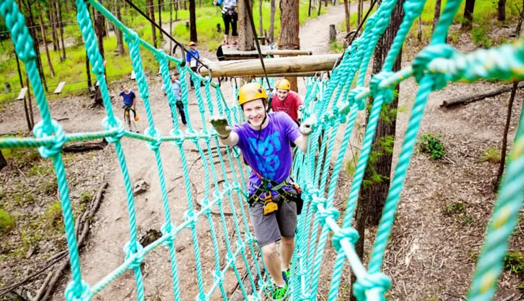 TreeTop Challenge at Mount Tamborine