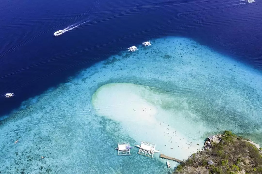 Whale Shark Encounter, Sumilon Sandbar, and Canyoneering in Kawasan Falls