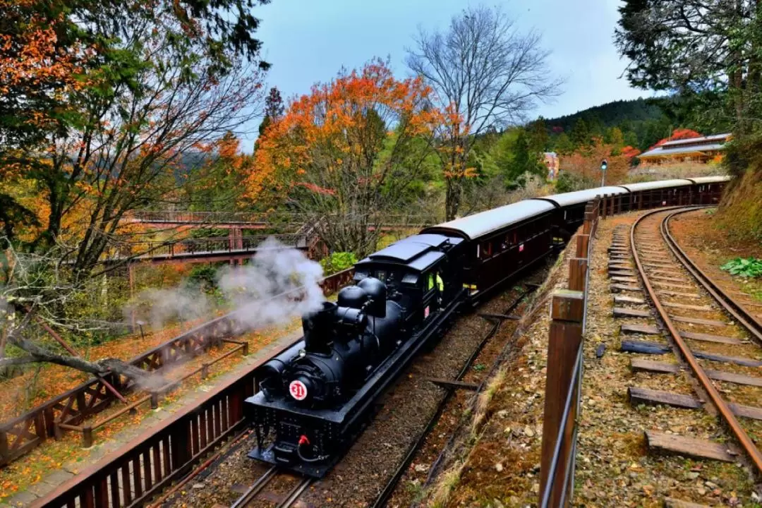 Alishan National Forest Recreation Area Ticket in Chiayi