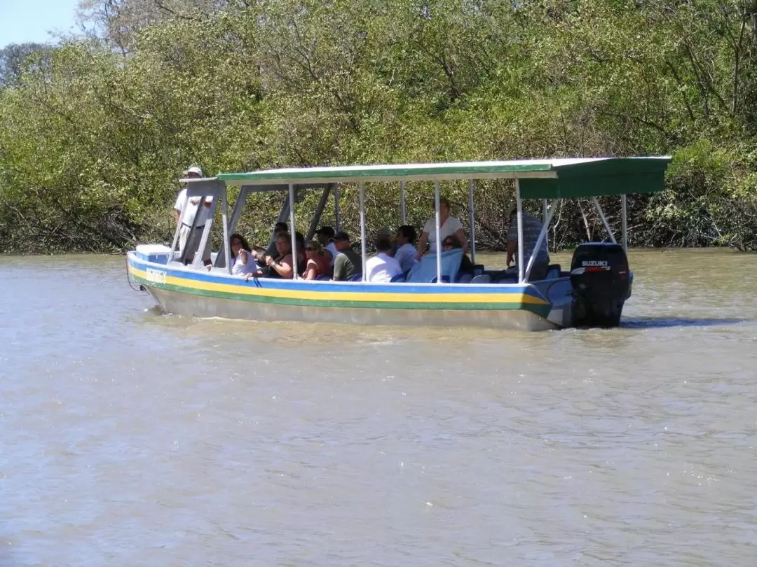 帕洛佛得角國家公園叢林河遊船之旅（探索咖啡種植園）