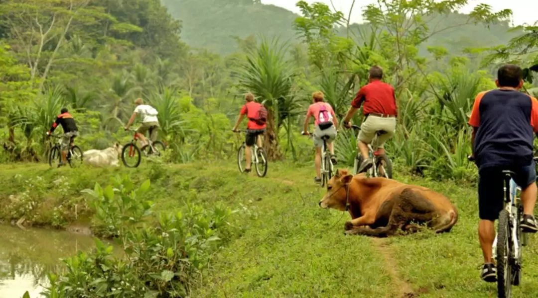 Colombo Countryside Cycling Tour