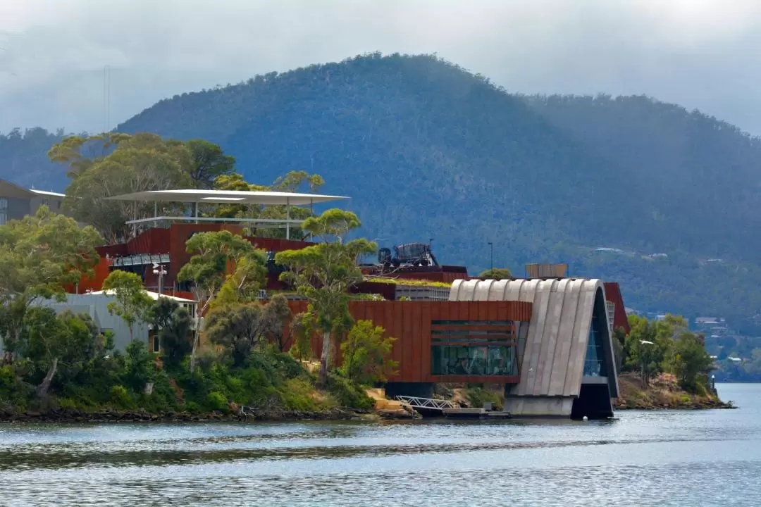 MONA Boat Cruise and Mt Wellington Morning Tour