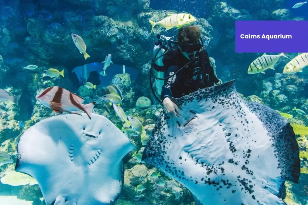 Cairns Attraction Pass