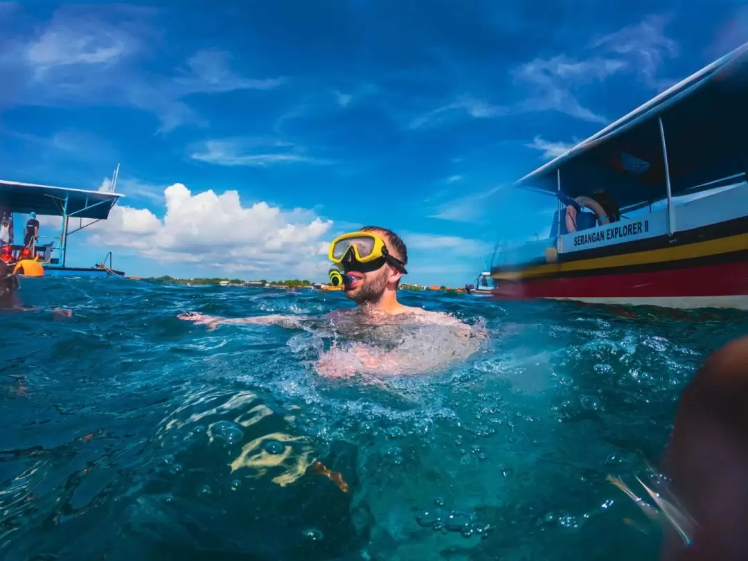 Turtle Island, Glass Bottom Boat and Mangrove Cruise by JTB Indonesia