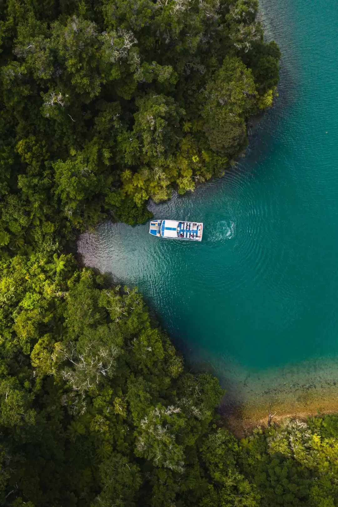 Pelorus Mail Boat Cruise