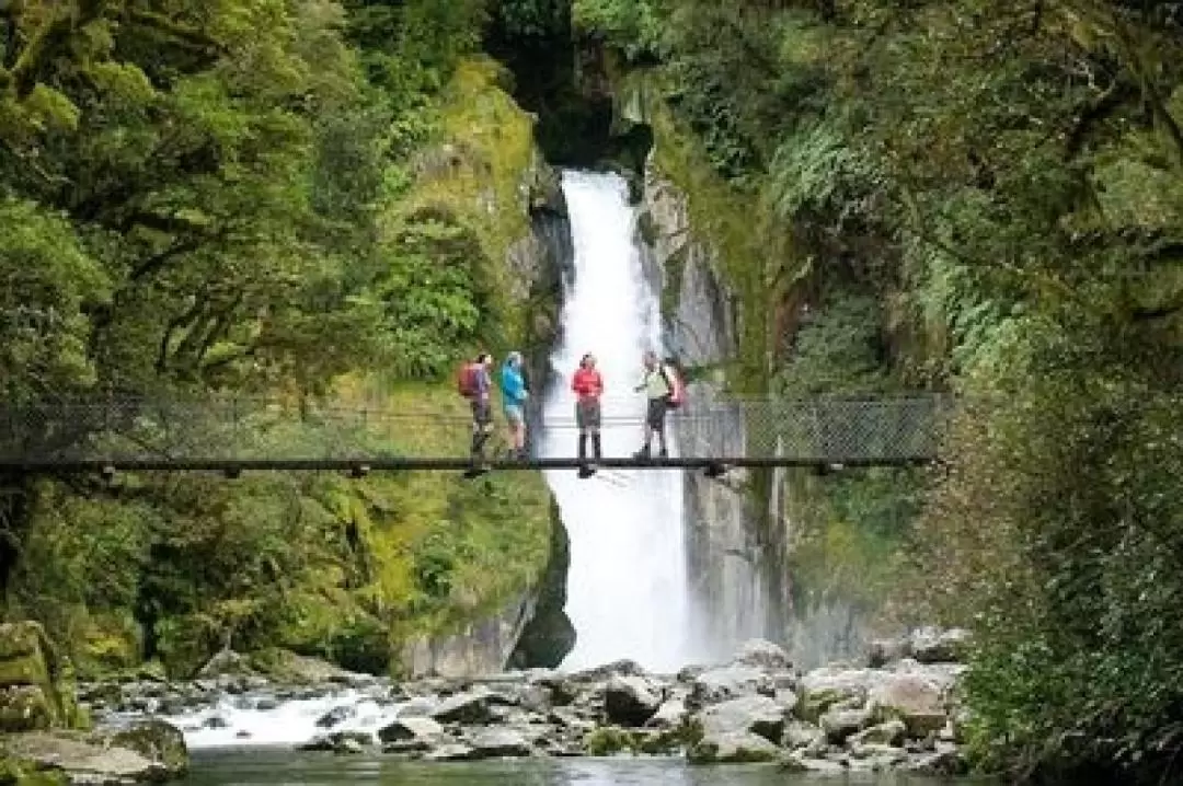 Milford Track Guided Heli-Hike