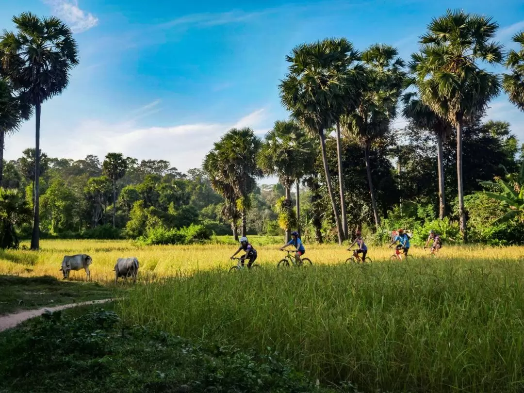 Siem Reap: Morning Countryside Bike Tour