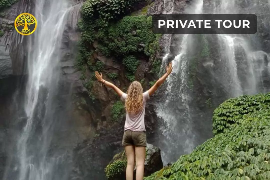 Sekumpul Waterfall and Gate of Heaven Private Trip in Bali with Lunch