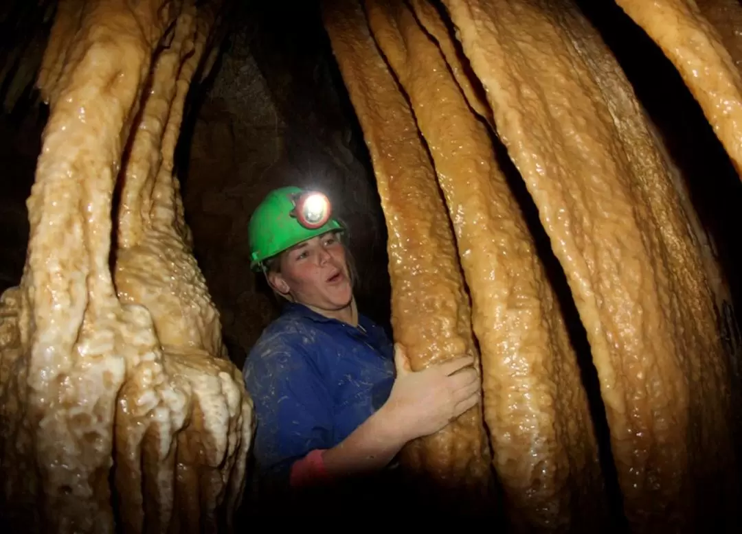 Raglan Rock Caving Pioneer Tour