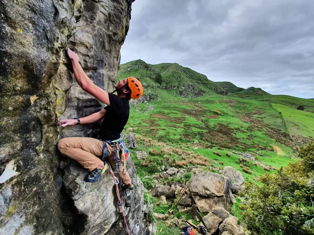 Top Rope Climbing Adventure in Raglan