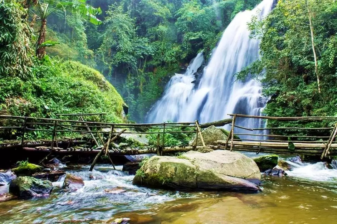 Doi Inthanon National Park and Pha Dok Siew Day Tour from Chiang Mai