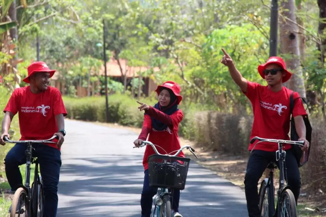 1-Day Tour to Borobudur and Cycling from Yogyakarta