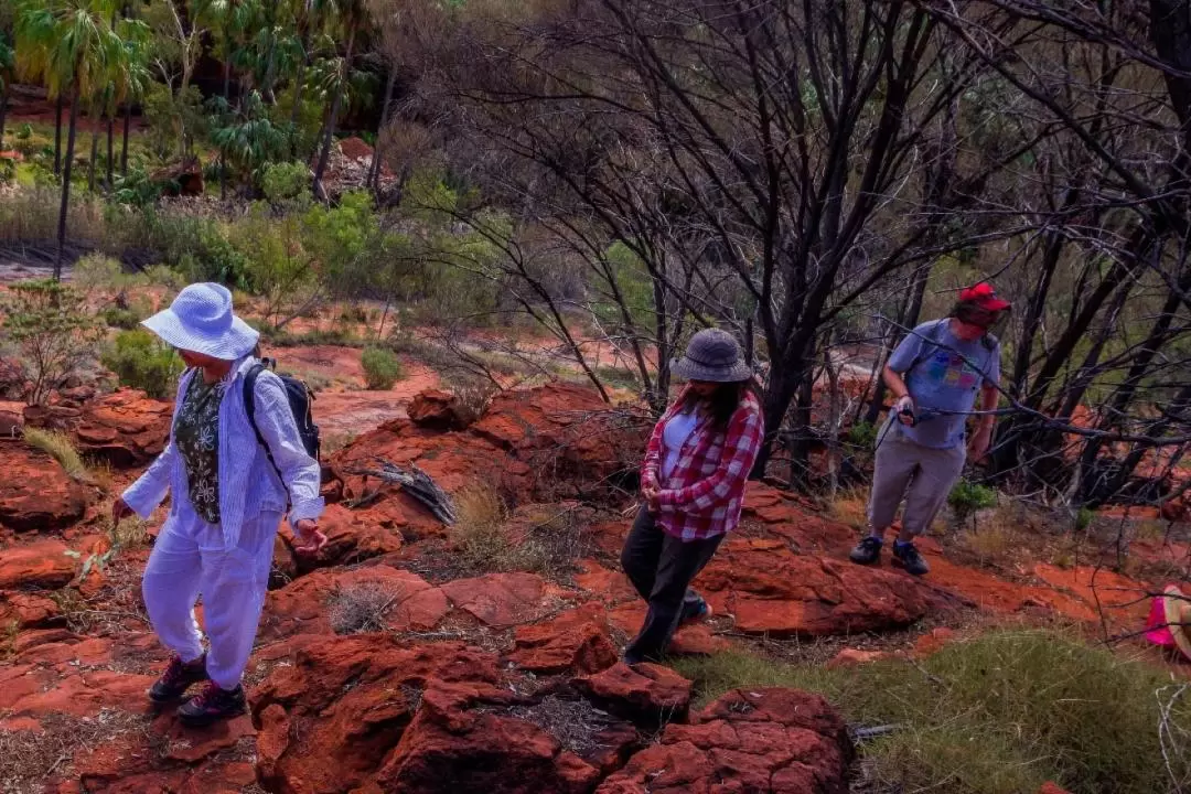 Palm Valley Full Day Tour from Alice Springs