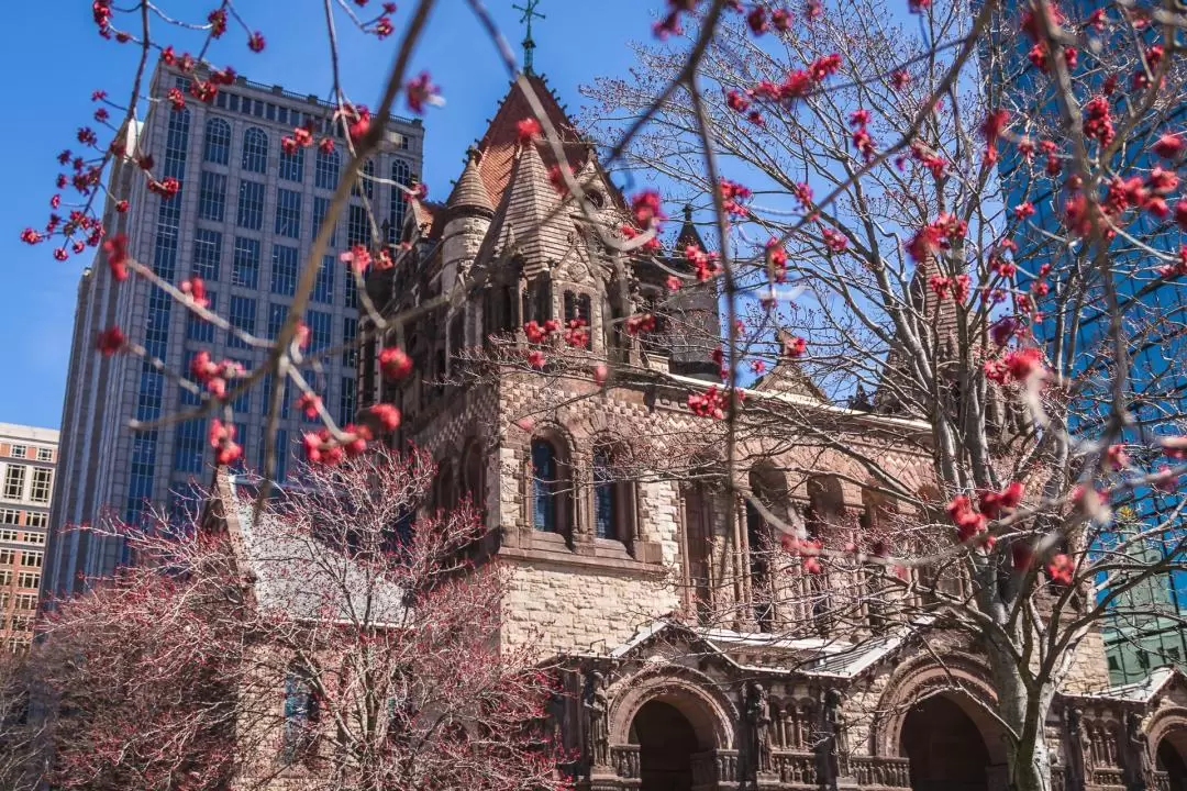 Historical and Highlights Tour in Boston 