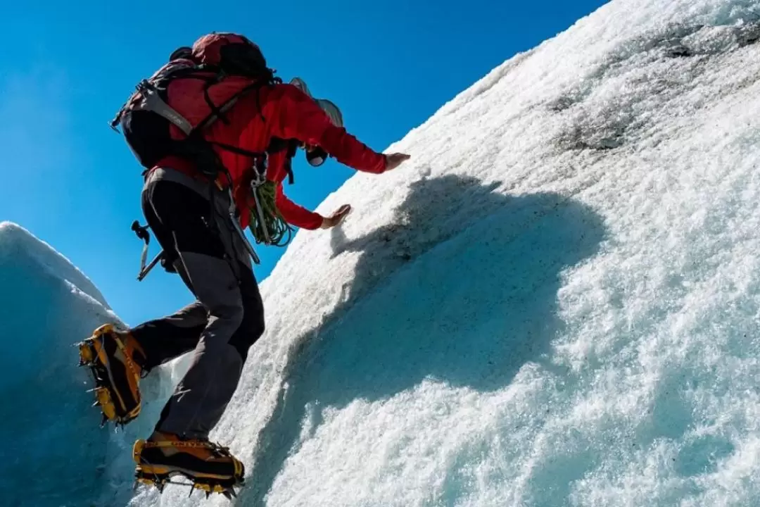 Glacier Heli-Hike and Flight Experiences in New Zealand