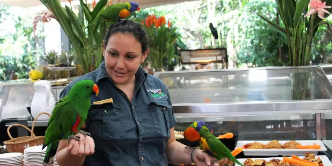 道格拉斯港野生動物棲息地：與鳥兒共進早餐