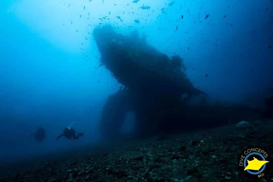 水肺潛水一日遊 & Tulamben 3次潛水體驗（巴厘島Dive Concepts提供）