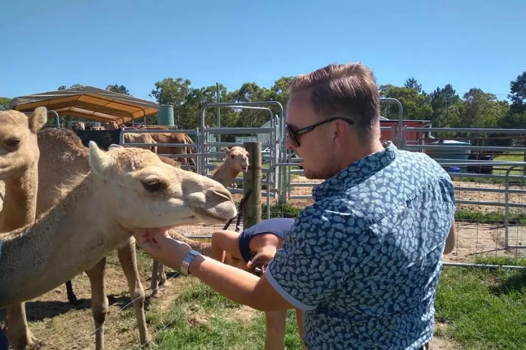 Tasty Caloundra Food Tour on Sunshine Coast