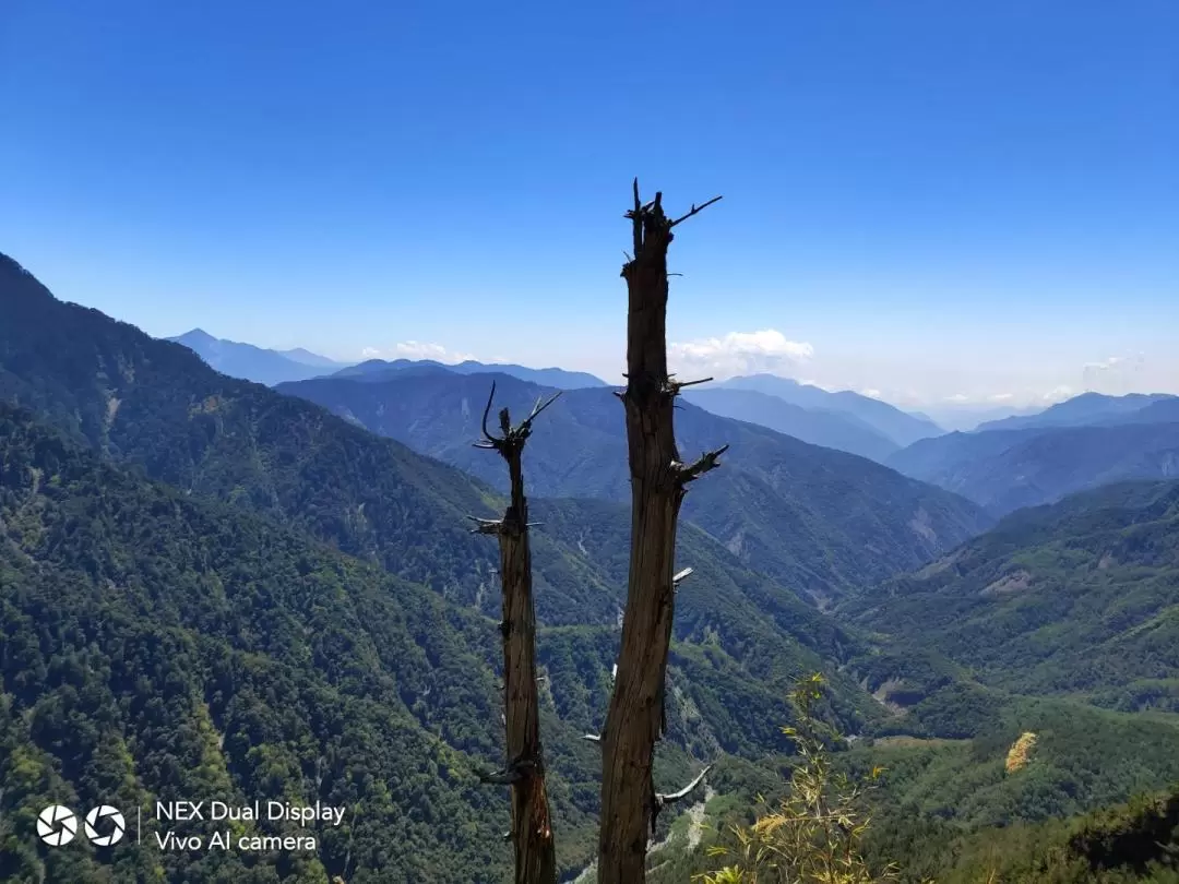 2D1N or 2D2N Yushan Hiking Tour in Nantou