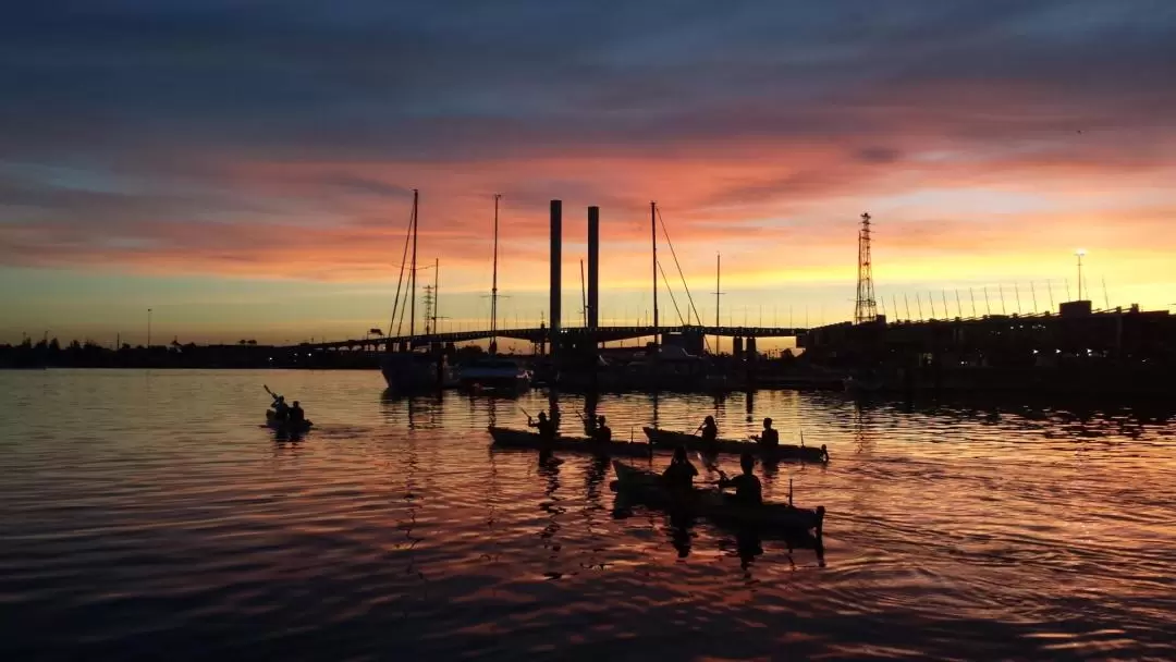 Moonlight City Sightseeing Kayak Experience in Melbourne