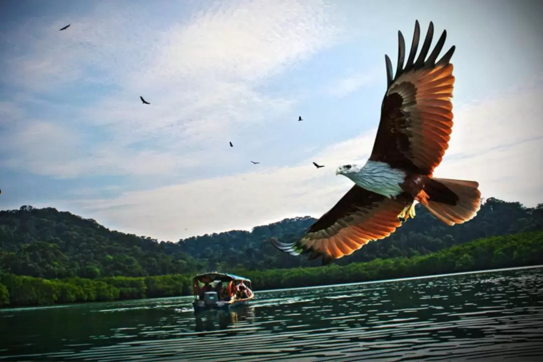 Langkawi Island Hopping Private Boat Tour