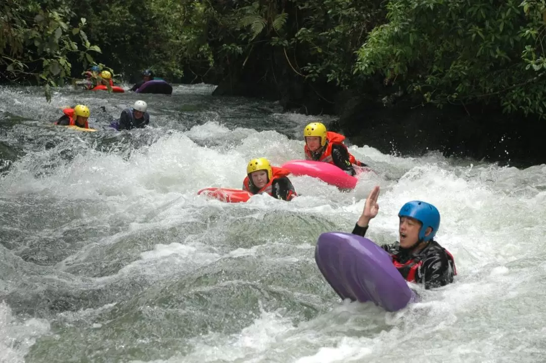 Kaituna River Sledging