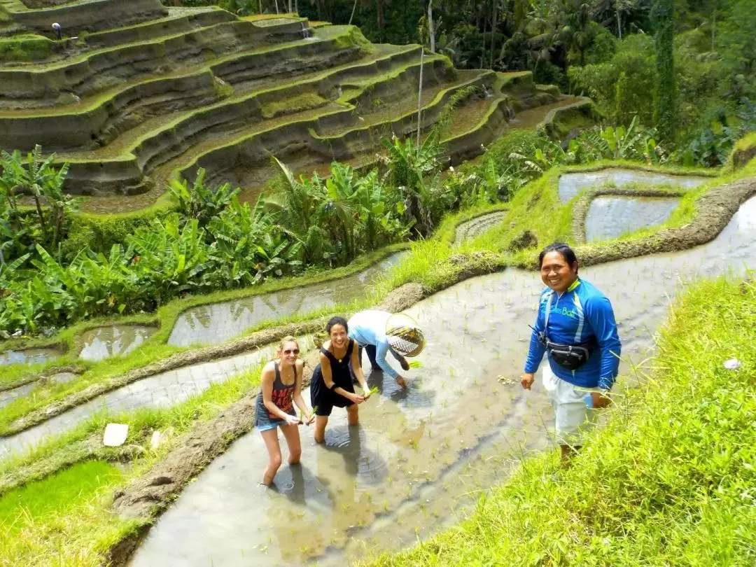 Electric Bicycle Tour in Bali