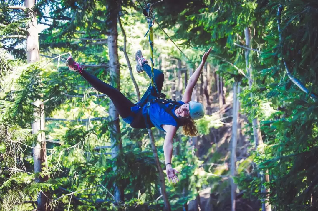 Kea 6-Zipline Experience in Queenstown