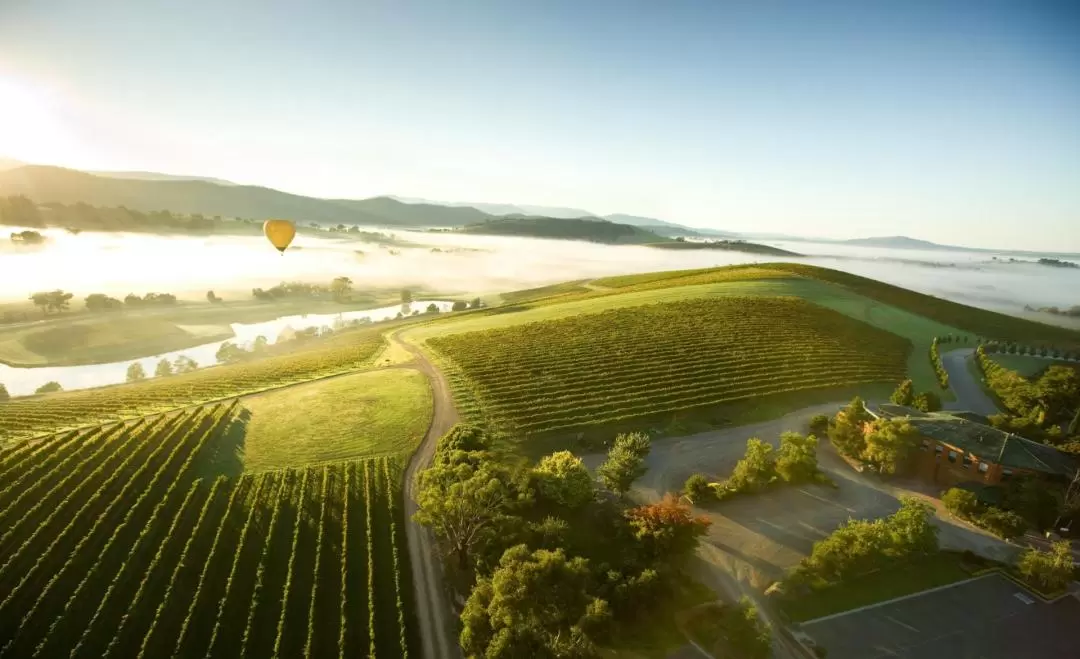 Yarra Valley Wine & Food Day Tour from Melbourne