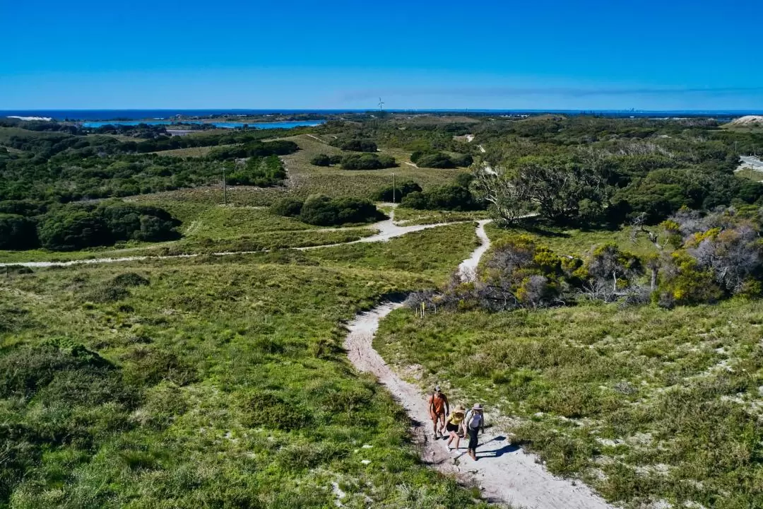 羅特內斯特島（Rottnest Island）West End漫步導覽之旅