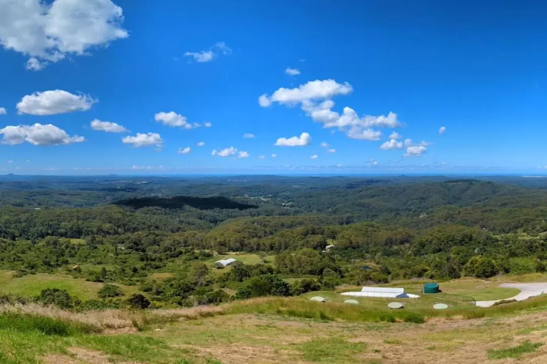 努薩 & 澳洲動物 & 玻璃屋山探索之旅（布里斯班出發）