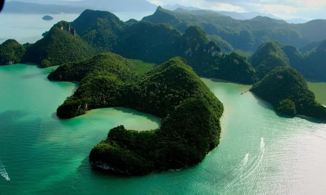 蘭卡威孕婦島（Dayang Bunting Island）私人遊覽 & 叢林徒步 & 游泳體驗