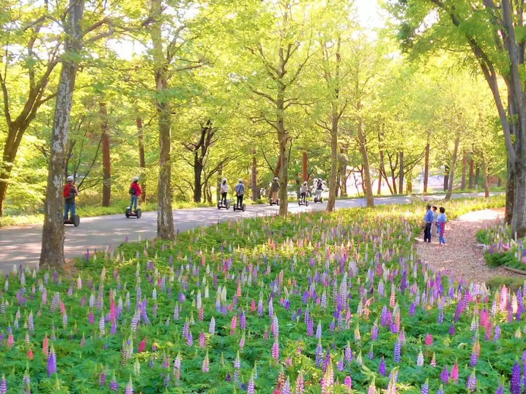 國營武藏丘陵森林公園縣民之森賽格威之旅