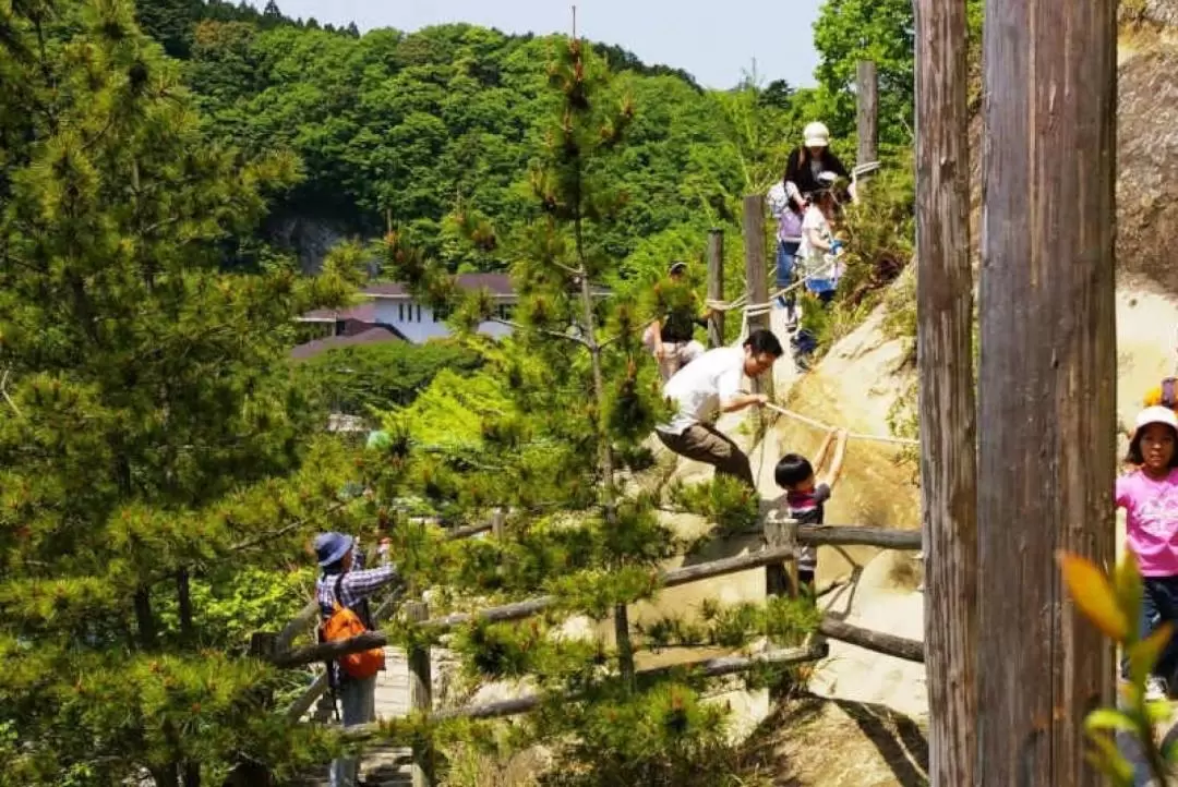 ロマンの森共和国 入園チケット（千葉）