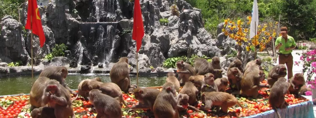 Private Nha Trang Monkey Island and Mud Spa Day Tour