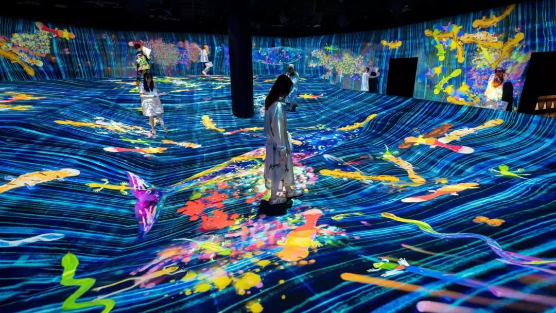 札幌《teamLab 未來遊樂園＆與花共生的動物們》展覽門票