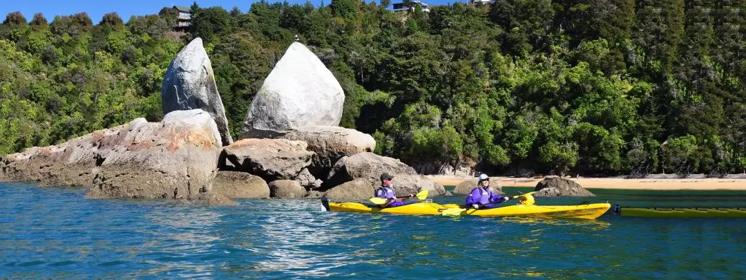 Split Apple Kayaking Tour