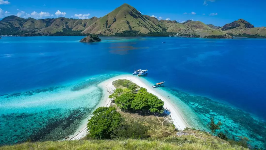 科莫多島半日快艇遊（Labuan Bajo出發）