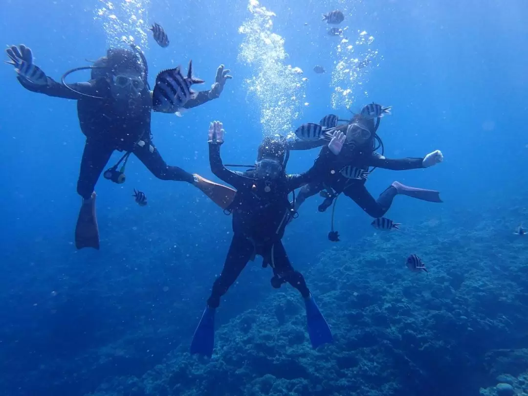 沖繩｜3天PADI開放水域潛水員課程｜免費攝影拍照｜中文教練